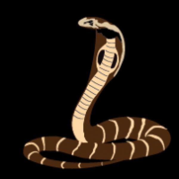 Cobra clipart