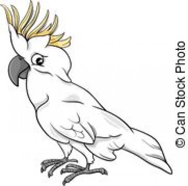 Cockatoo clipart