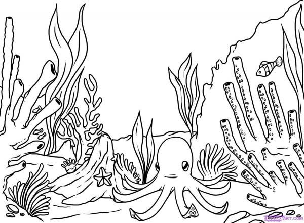 preview Reef coloring