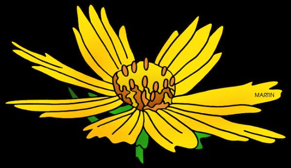 Coreopsis clipart