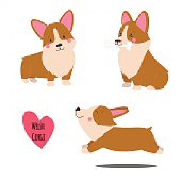 Corgi  clipart