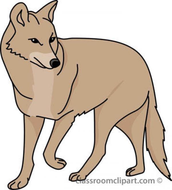 Coyote clipart