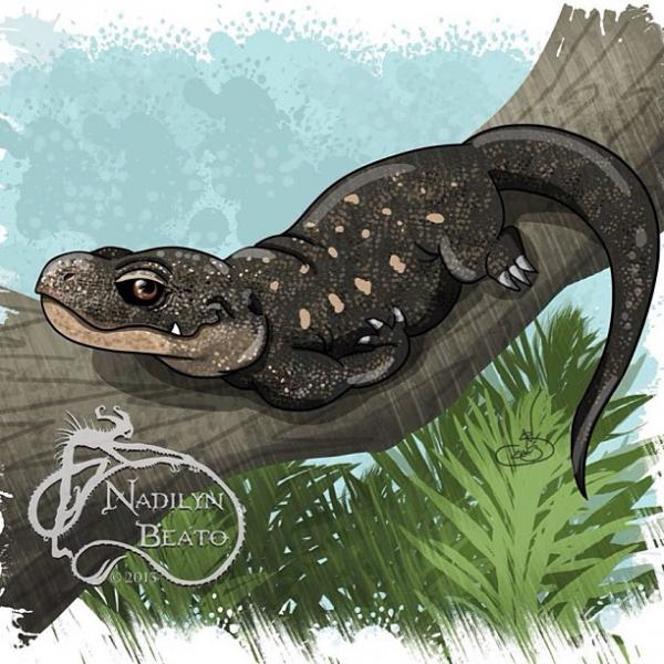 Crocodile Monitor clipart