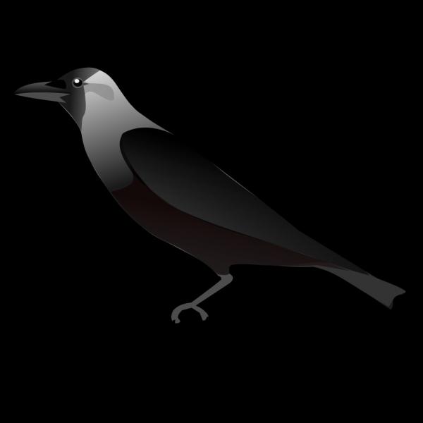 preview Crow svg