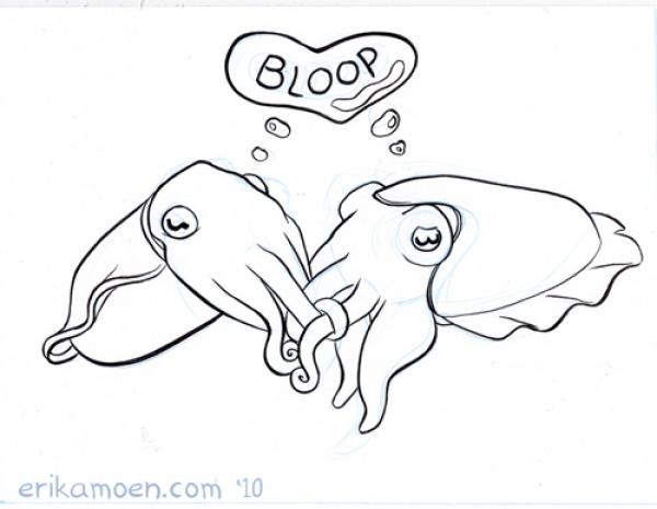 preview Cuttlefish coloring