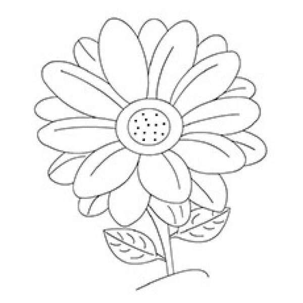 preview Gerbera coloring