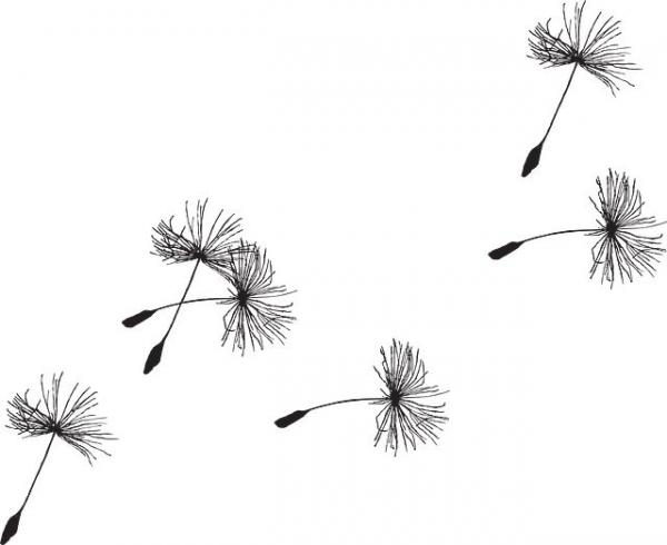 preview Dandelion clipart