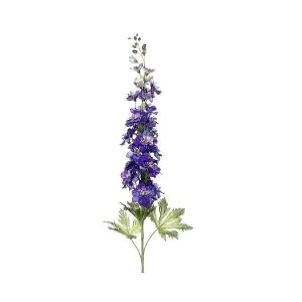 Delphinium clipart