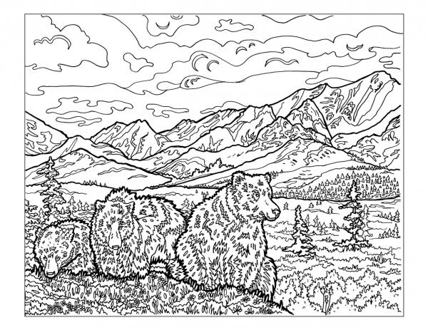 preview Denali National Park coloring