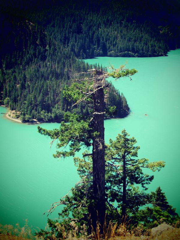 preview Diablo Lake coloring