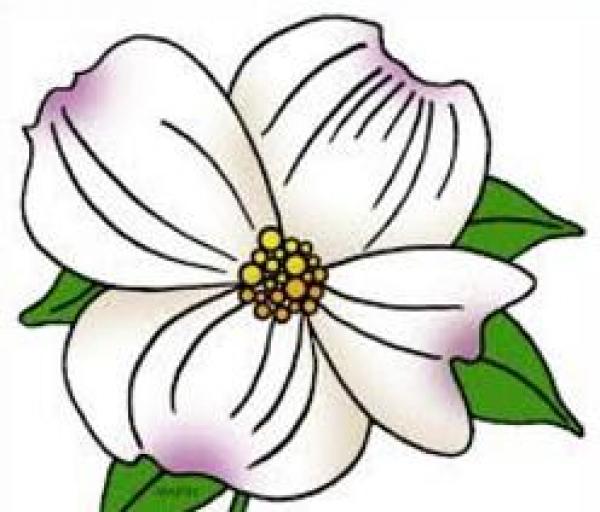 preview Dogwood clipart