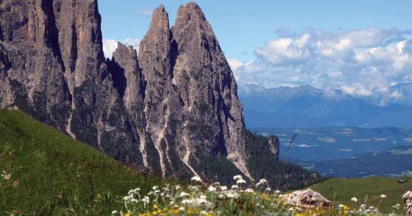 preview Dolomites svg