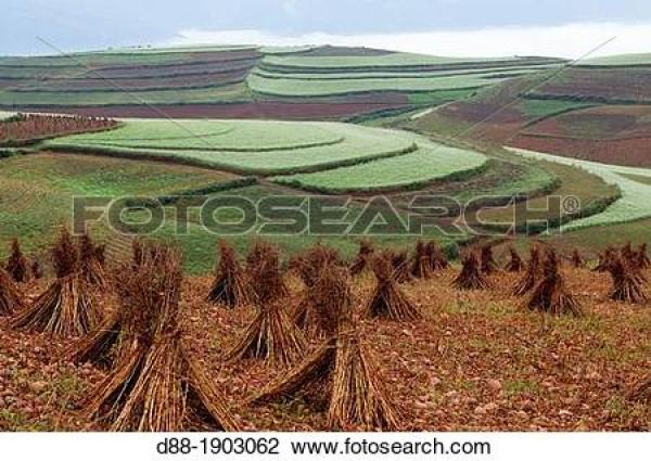 Dongchuan clipart