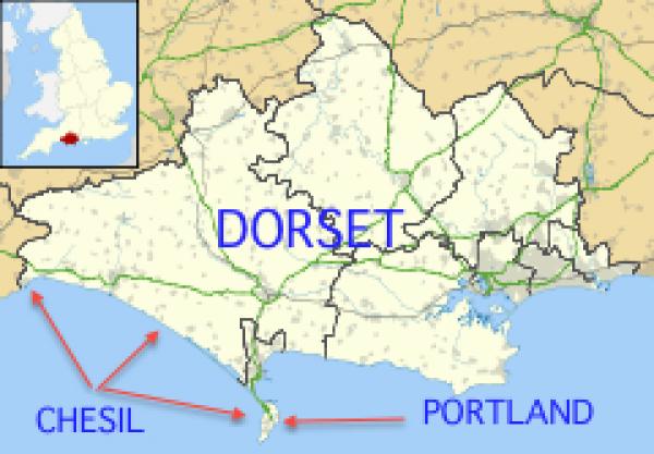 preview Dorset svg