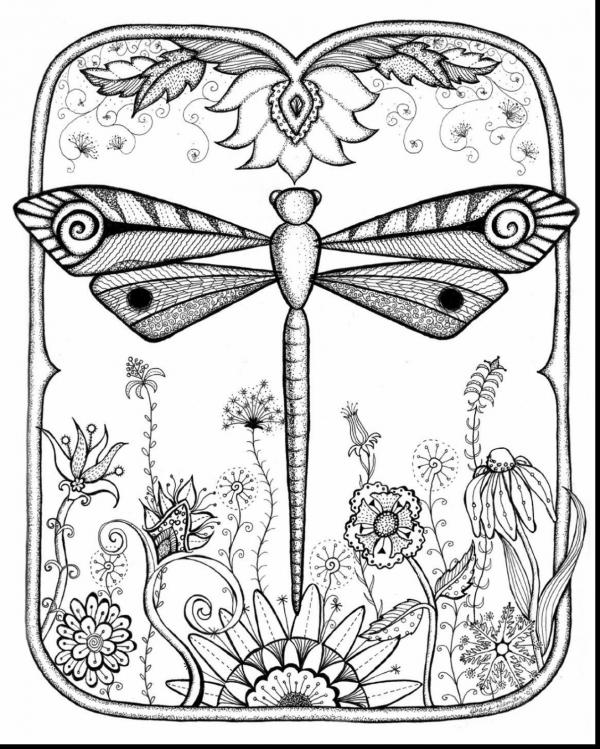 preview Dragonfly coloring