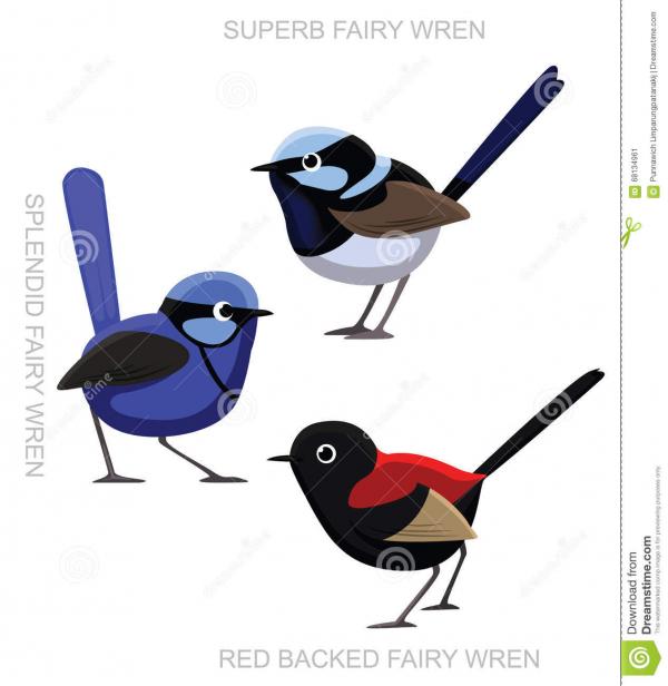 Fairy-wren clipart