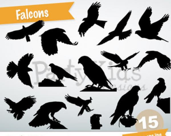 preview Falcon svg