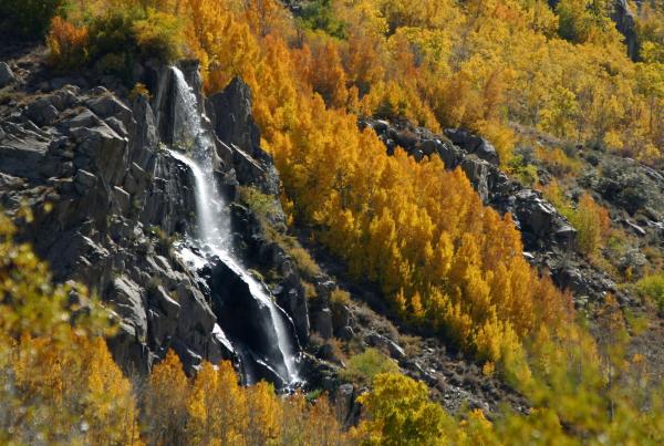 preview Falls Creek Falls coloring