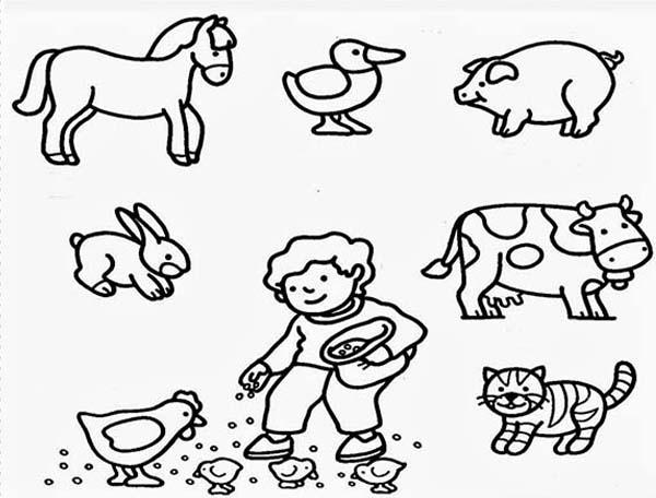 Farm Animals coloring