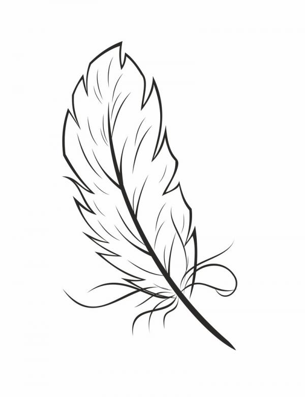 preview Feather coloring