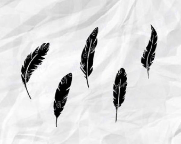 preview Feather svg