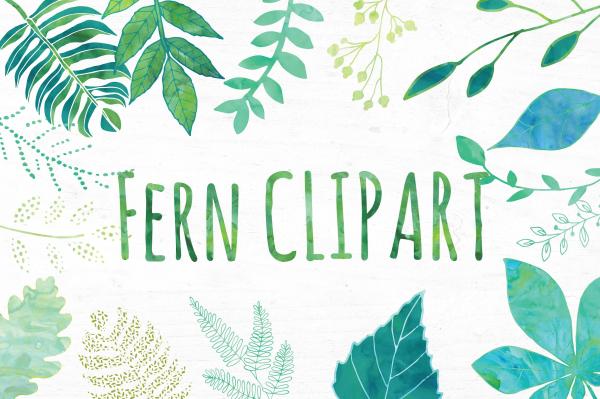 preview Fern clipart