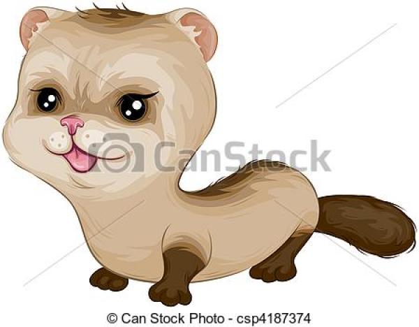 Ferret clipart