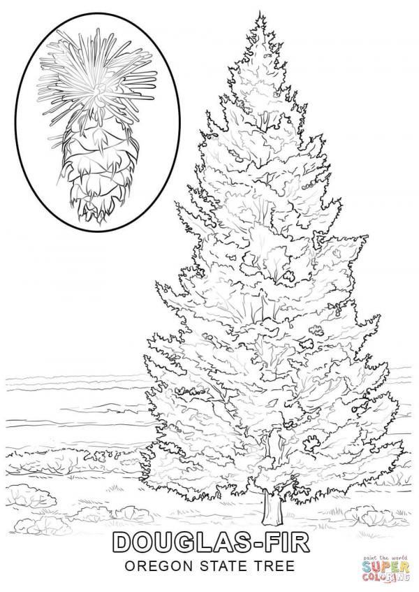 preview Fir Tree coloring