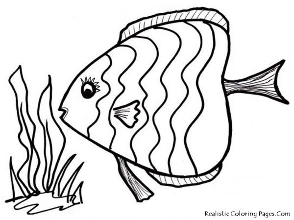 preview Fish coloring