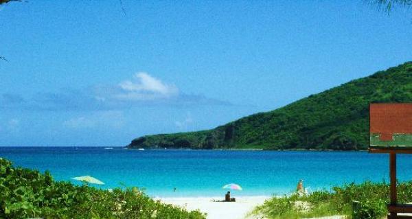 Flamenco Beach svg