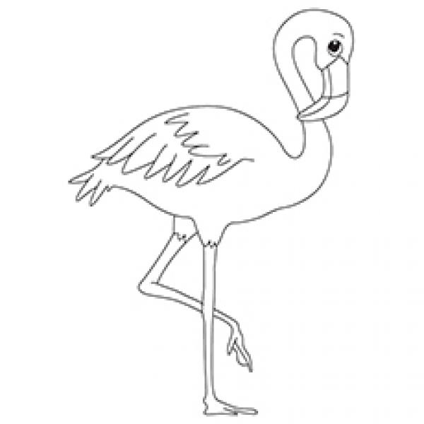 preview Flamingo coloring