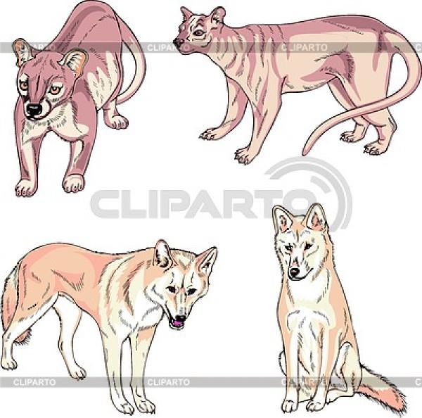 Fossa clipart