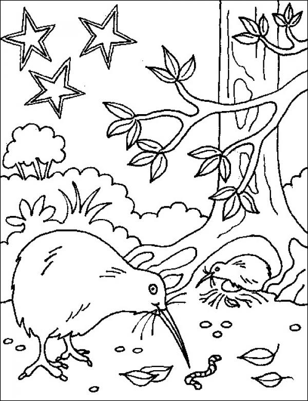 Freshwater Birds coloring