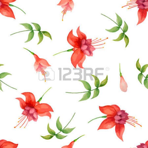 Fuchsia clipart