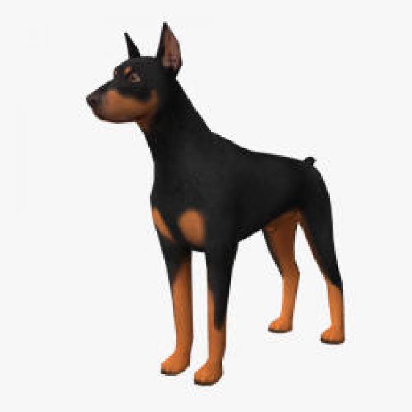 preview German Pinscher svg