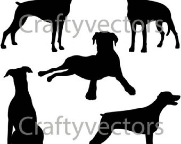 preview Miniature Pinscher svg