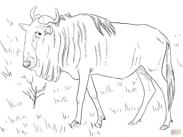 Gnu coloring