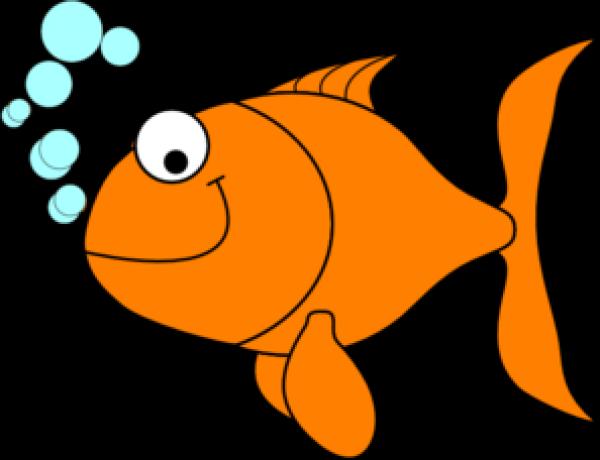 Gold Fish clipart