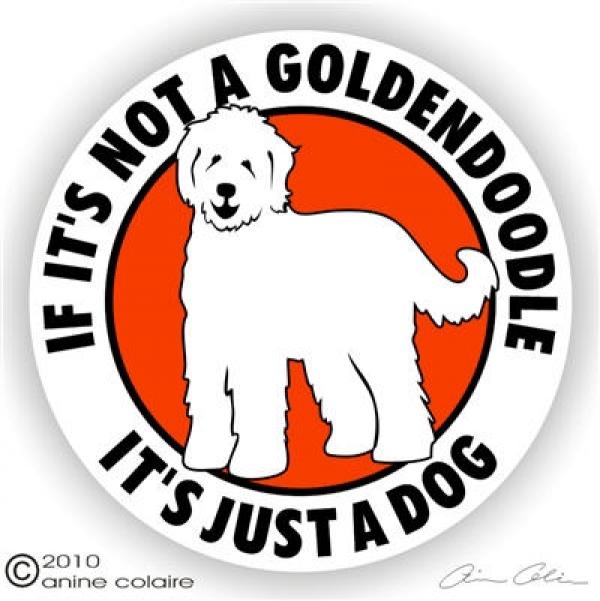 Goldendoodle clipart