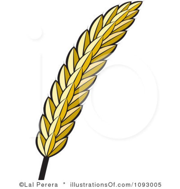 Grain clipart