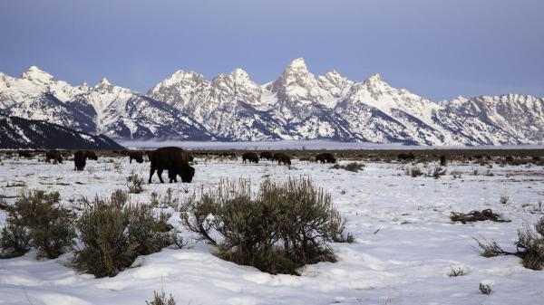 Grand Teton National Park svg