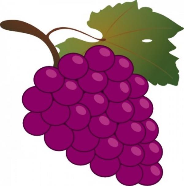 preview Grapes clipart