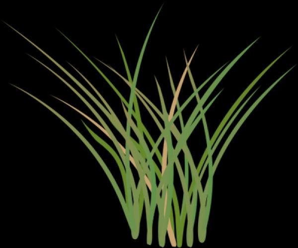 preview Grass svg