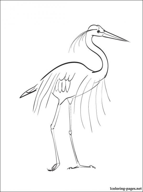 preview Great Blue Heron coloring