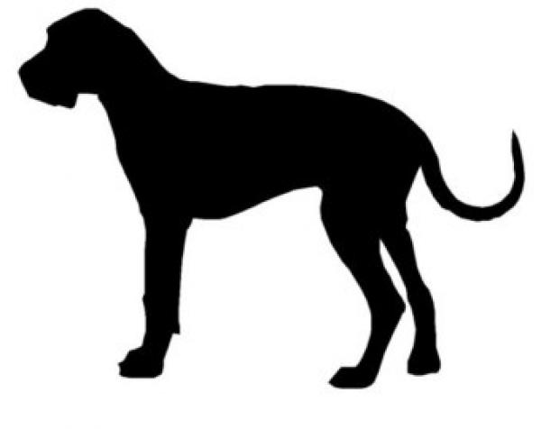 preview Great Dane svg