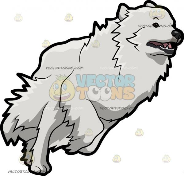 Great Pyrenees clipart