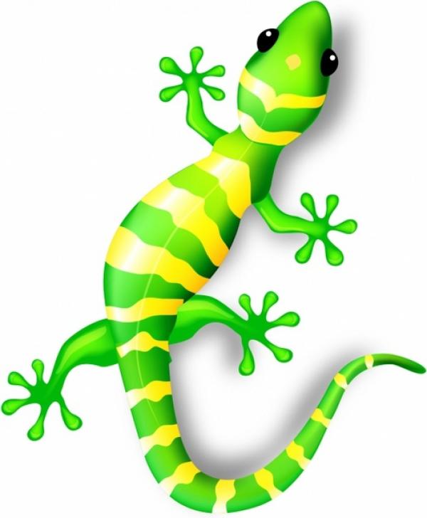 preview Lizard svg