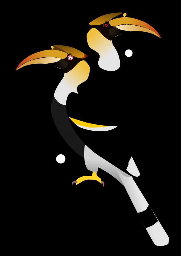 preview Hornbill svg