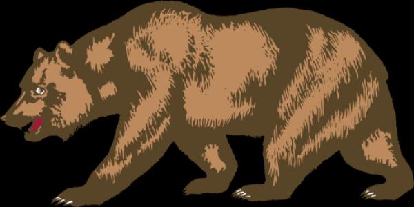 Grizzly Bear clipart