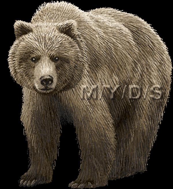 Grizzly Family In Spring clipart